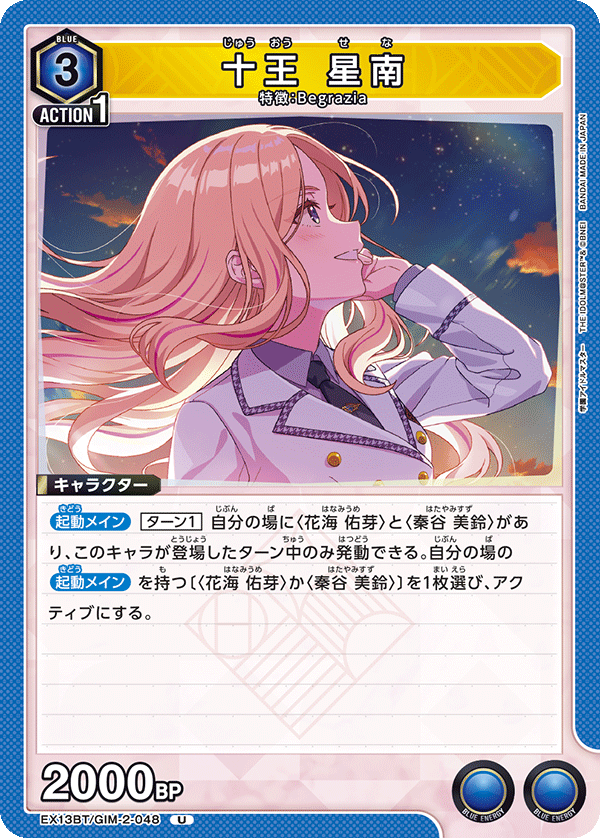 十王 星南(U)(EX13BT/GIM-2-048)